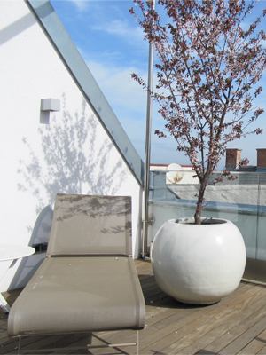 Dachterrasse